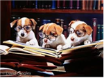 Reading puppies 